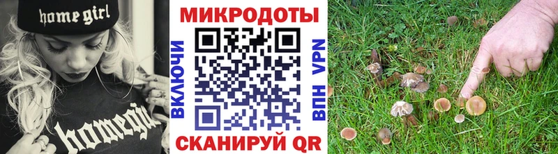 Псилоцибиновые грибы Psilocybine cubensis  Кондопога 